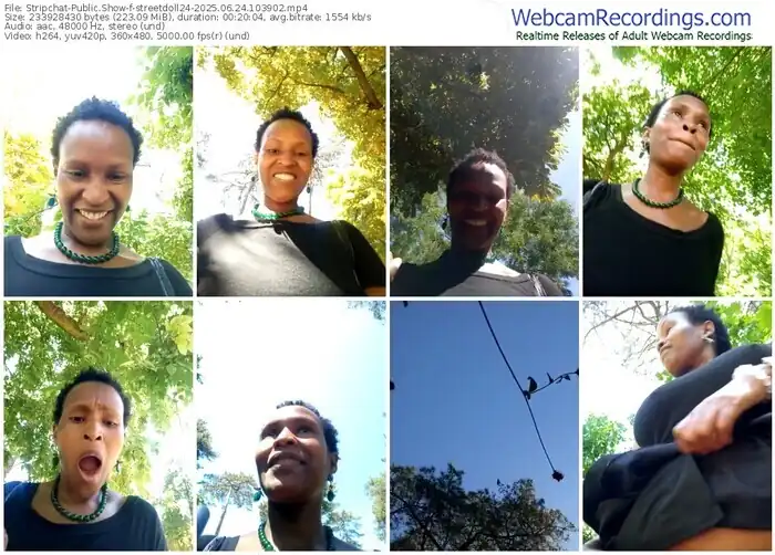 stripchat-streetdoll24-06-24-2025-10-39-02