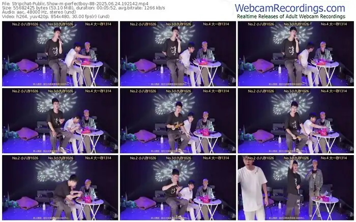 stripchat-perfectboy-88-06-24-2025-19-21-42
