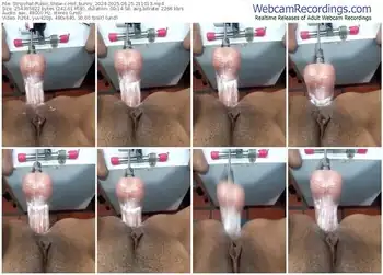 stripchat-hot_bunny_2024-06-25-2025-21-10-13