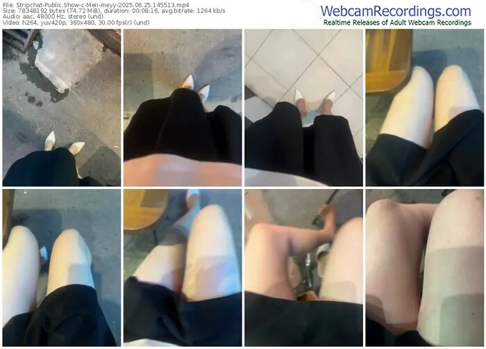 stripchat-meii-meyy-06-25-2025-14-55-13