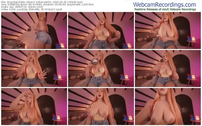 stripchat--sofiacastillo--06-25-2025-13-06-30