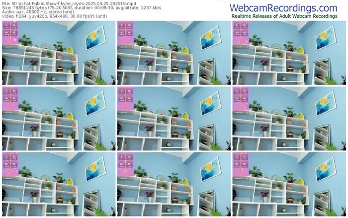 stripchat-kylie_reyes-06-25-2025-23-29-19