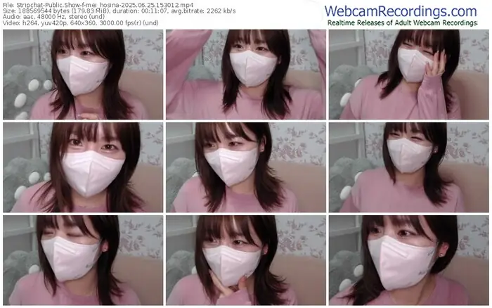 stripchat-mei_hosina-06-25-2025-15-30-12