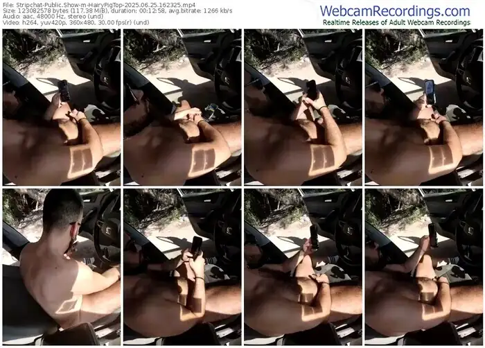 stripchat-hairypigtop-06-25-2025-16-23-25