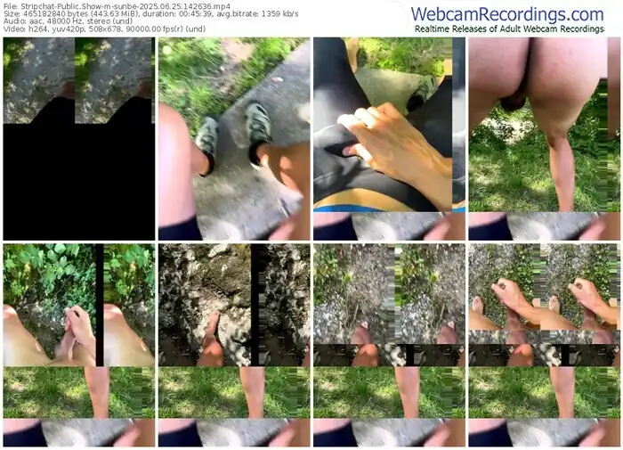 stripchat-sunbe-06-25-2025-14-26-36