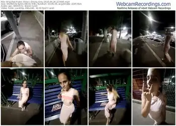 stripchat-eryka_grey-06-26-2025-22-39-35