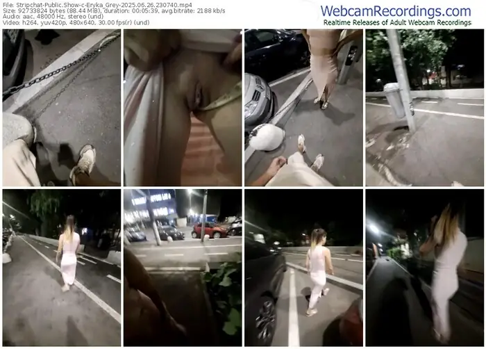 stripchat-eryka_grey-06-26-2025-23-07-40