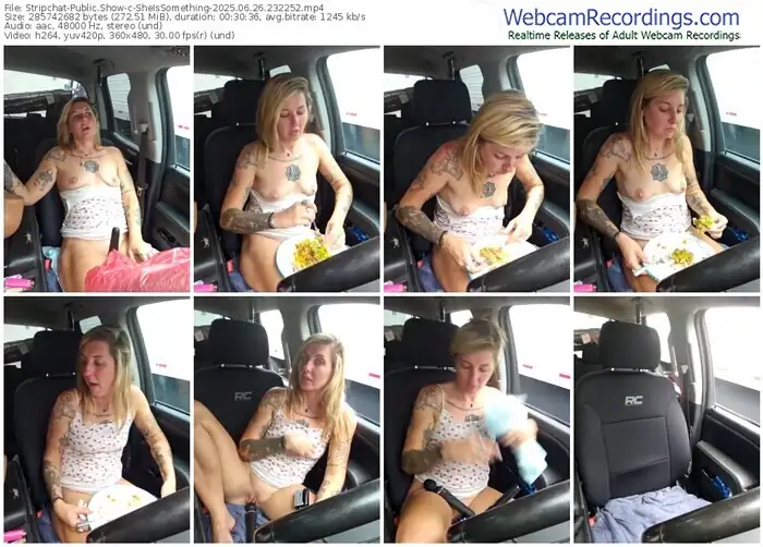 stripchat-sheissomething-06-26-2025-23-22-52