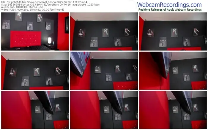 stripchat-michael_hanna-06-26-2025-11-21-22