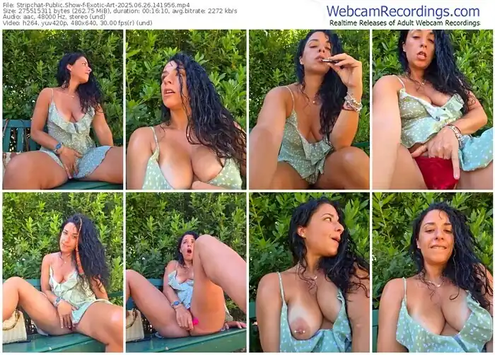 stripchat-exotic-art-06-26-2025-14-19-56