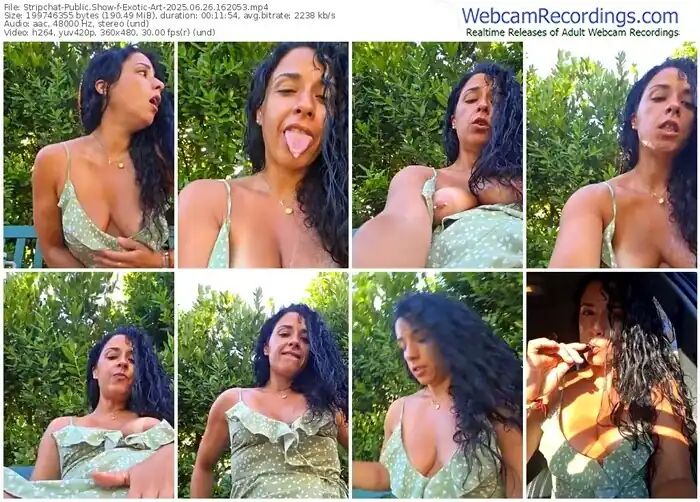 stripchat-exotic-art-06-26-2025-16-20-53