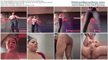 stripchat-shashemel-06-26-2025-13-02-58