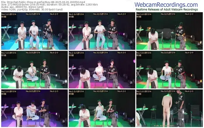 stripchat-perfectboy-88-06-26-2025-20-00-56