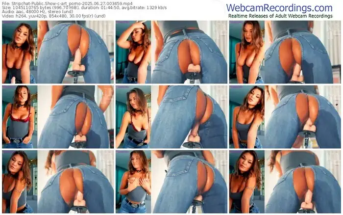 stripchat-art_porno-06-27-2025-00-34-59