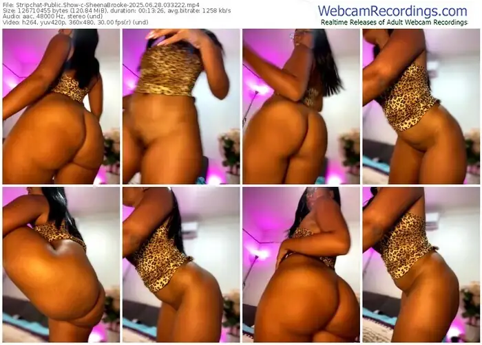 stripchat-sheenabrooke-06-28-2025-03-32-22