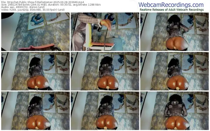 stripchat-merliasomer-06-28-2025-20-36-46