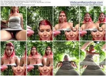 stripchat-ririroseey-06-28-2025-08-01-52