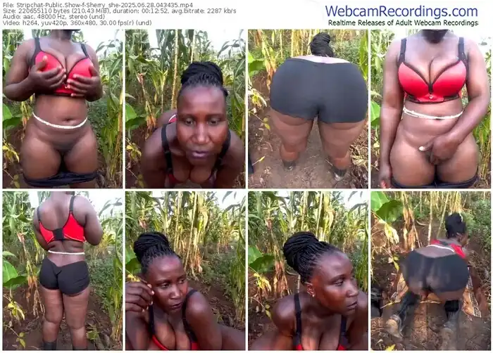 stripchat-sherry_she-06-28-2025-04-34-35