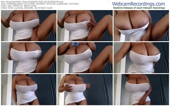 stripchat-katt008-06-28-2025-05-56-09