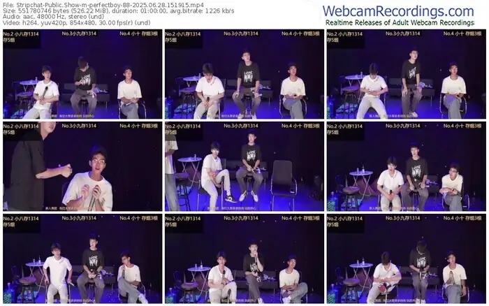 stripchat-perfectboy-88-06-28-2025-15-19-15