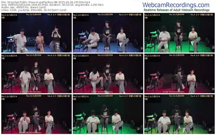 stripchat-perfectboy-88-06-28-2025-19-53-34
