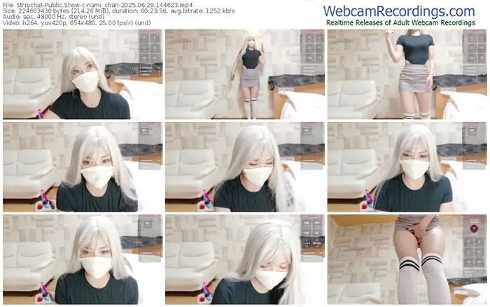 stripchat-nami_chan-06-29-2025-14-46-23