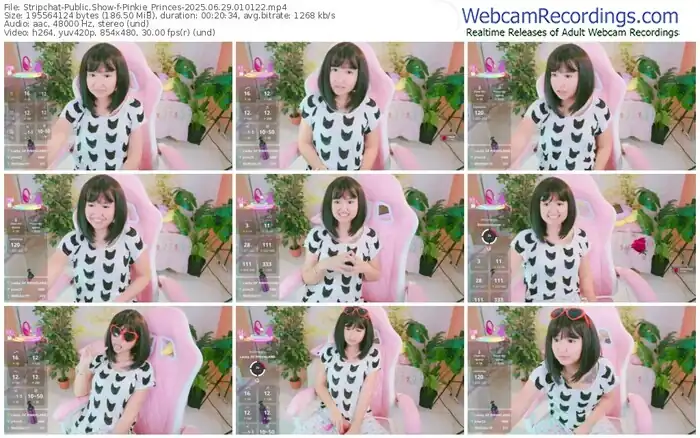 stripchat-pinkie_princes-06-29-2025-01-01-22