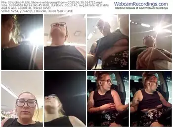 stripchat-wildyoungnhorny-06-30-2025-01-47-15