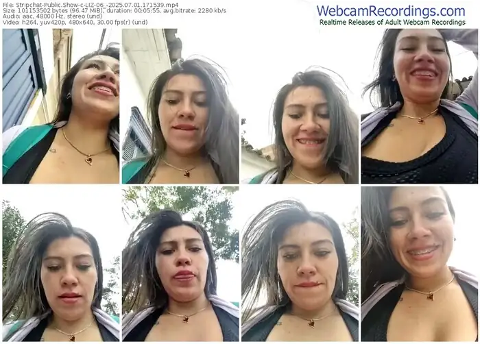 stripchat-liz-06_-07-01-2025-17-15-39