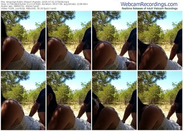 stripchat--pupsiki--07-01-2025-07-50-48