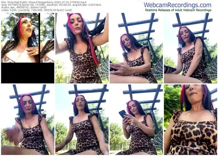 stripchat-meganfoxiy-07-01-2025-07-58-33