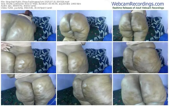 stripchat-wilmaassylum-07-01-2025-05-43-26
