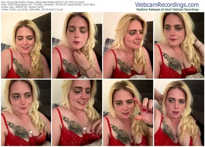 stripchat-blondiee3088-07-02-2025-23-57-14