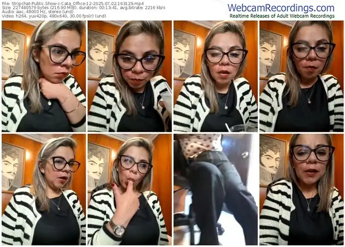 stripchat-cata_office-12-07-02-2025-16-31-29