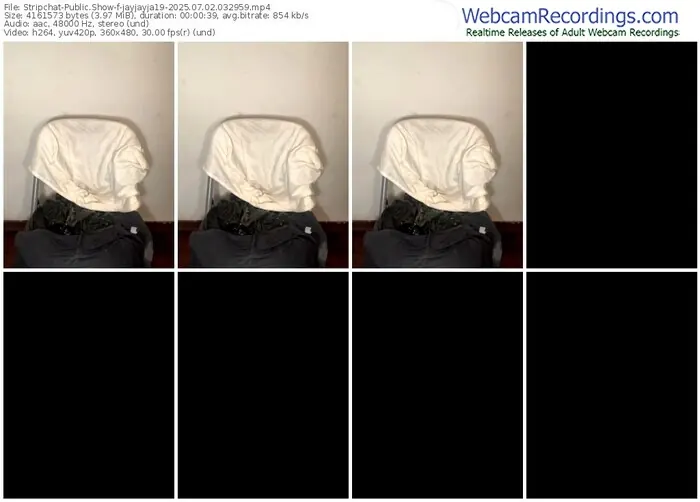 stripchat-jayjayja19-07-02-2025-03-29-59