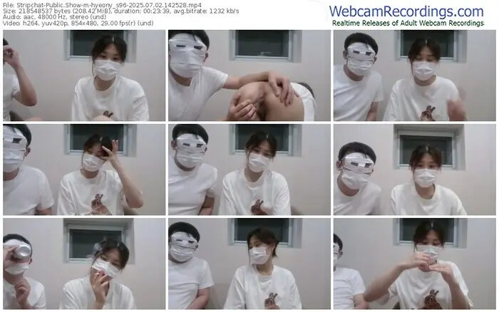 stripchat-hyeony_s96-07-02-2025-14-25-28