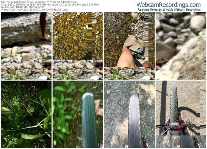 stripchat-sunbe-07-02-2025-14-29-39