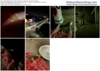 stripchat-alien1227-07-03-2025-16-37-25