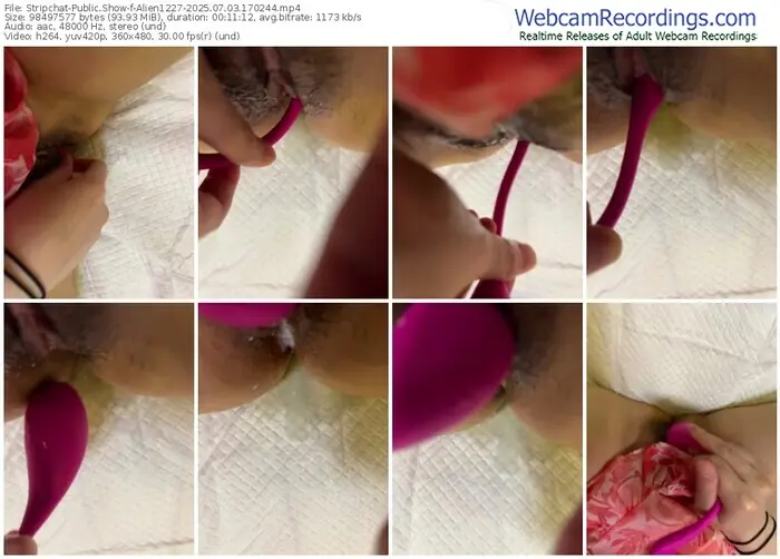 stripchat-alien1227-07-03-2025-17-02-44