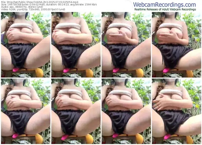 stripchat-hana-zk3-07-03-2025-02-50-54