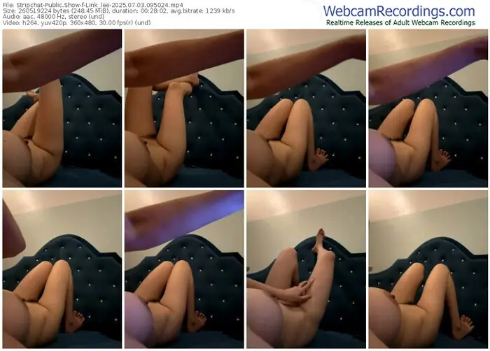 stripchat-link_lee-07-03-2025-09-50-24