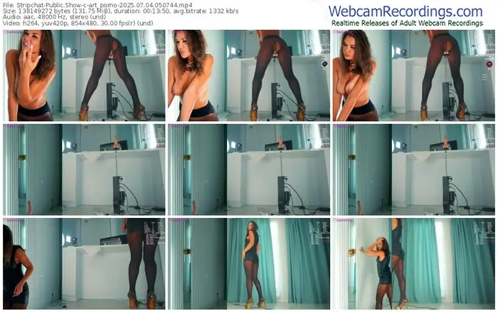 stripchat-art_porno-07-04-2025-05-07-44