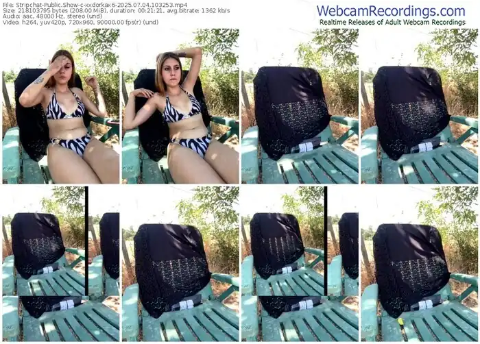 stripchat-xxdorkax6-07-04-2025-10-32-53