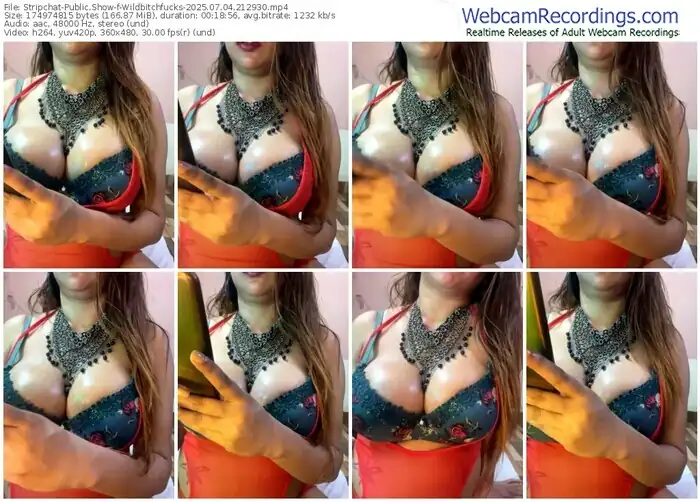 stripchat-wildbitchfucks-07-04-2025-21-29-30