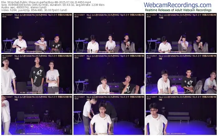 stripchat-perfectboy-88-07-04-2025-21-46-50