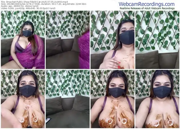 stripchat-bold-cat-07-05-2025-21-00-53