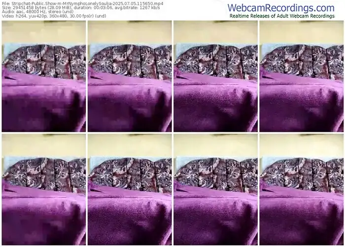 stripchat-mrnympholonelysoulja-07-05-2025-11-56-50