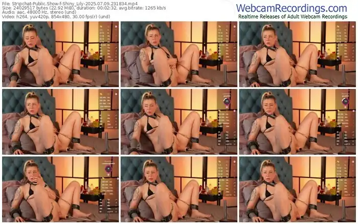 stripchat-shiny_lily-07-09-2025-23-18-34