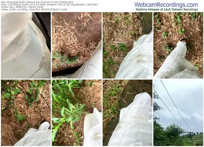 stripchat-sisi-6-07-09-2025-07-34-58