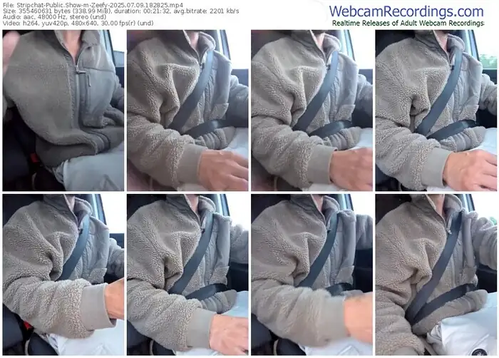 stripchat-zeefy-07-09-2025-18-28-25